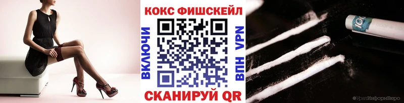 купить наркотики цена Дигора COCAIN Эквадор