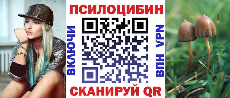 Псилоцибиновые грибы MAGIC MUSHROOMS  hydra сайт  Дигора 
