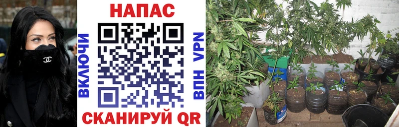 МАРИХУАНА тримм  Дигора 